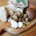 How to Spot an Edible Mushroom from a Non-Edible Mushroom